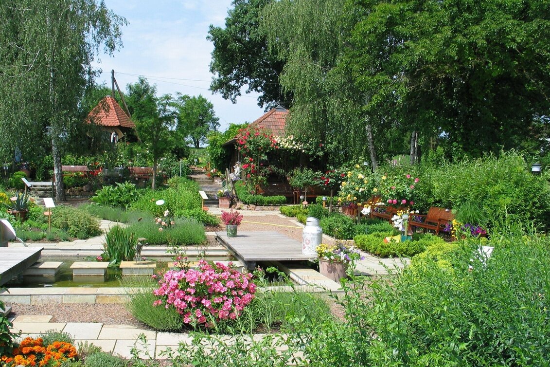 Hiking route Vineyard tour (Weinbergtour Söchau) - Touren-Impression #1 | © Manuela Schweinzer-Riegler