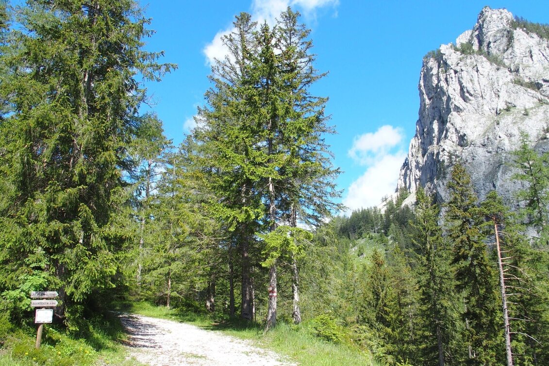 Wanderung Jassingalm - Touren-Impression #1 | © FVV  Tragöß - St. Katharein