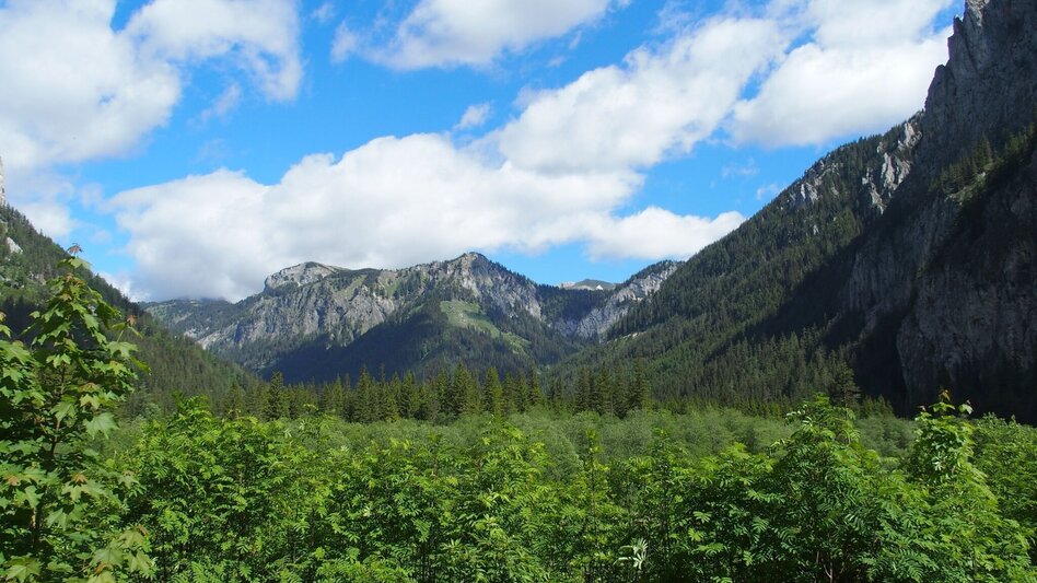 Wanderung Jassingalm - Touren-Impression #2.6 | © FVV  Tragöß - St. Katharein