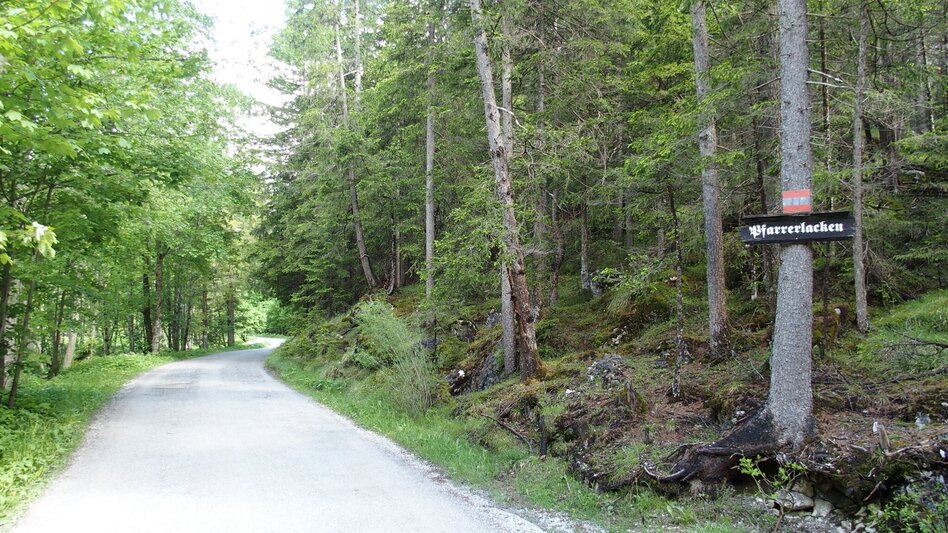 Wanderung Jassingalm - Touren-Impression #2.7 | © FVV  Tragöß - St. Katharein