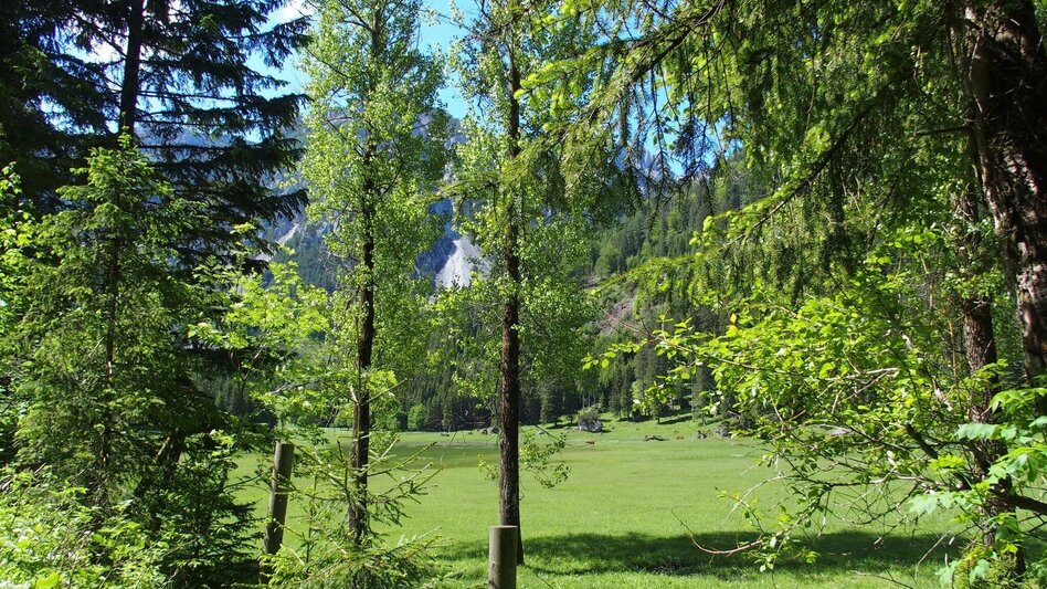 Wanderung Jassingalm - Touren-Impression #2.8 | © FVV  Tragöß - St. Katharein