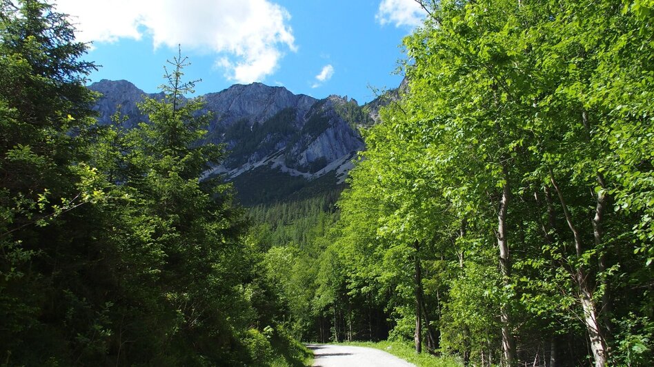 Wanderung Jassingalm - Touren-Impression #2.12 | © FVV  Tragöß - St. Katharein