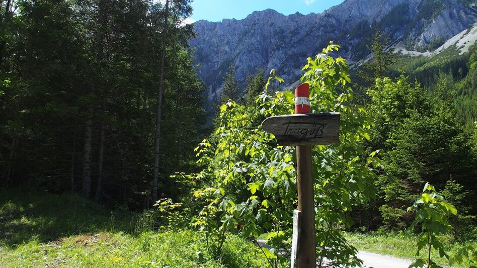 Wanderung Jassingalm - Touren-Impression #2.13 | © FVV  Tragöß - St. Katharein