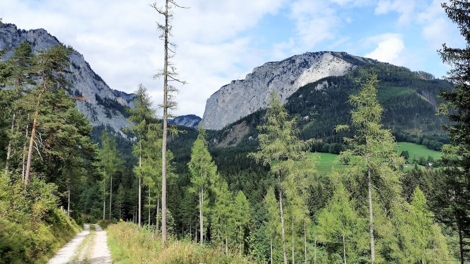 Hiking route Hike up to the Hialsegg - Touren-Impression #2.2 | © FVV  Tragöß - St. Katharein