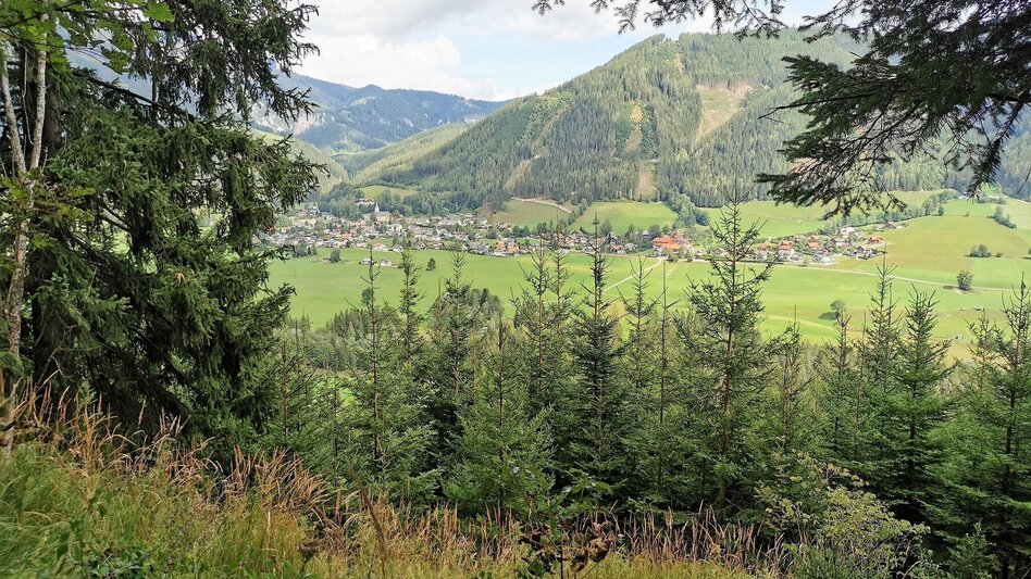 Hiking route Hike up to the Hialsegg - Touren-Impression #2.4 | © FVV  Tragöß - St. Katharein