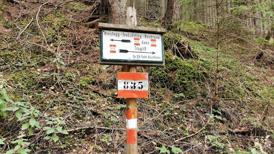 Hiking route Hike up to the Hialsegg - Touren-Impression #2.13 | © FVV  Tragöß - St. Katharein