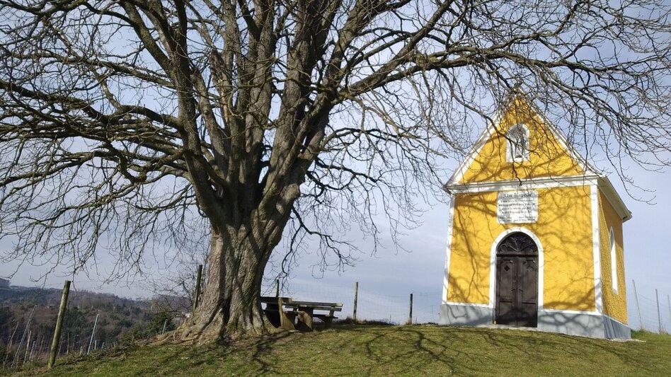 Hiking route AUERSBACH Himmel-Erden-Weg: Wandern für Alt und Jung in Feldbach - Touren-Impression #2.1 | © Miteinander aktiv Feldbach