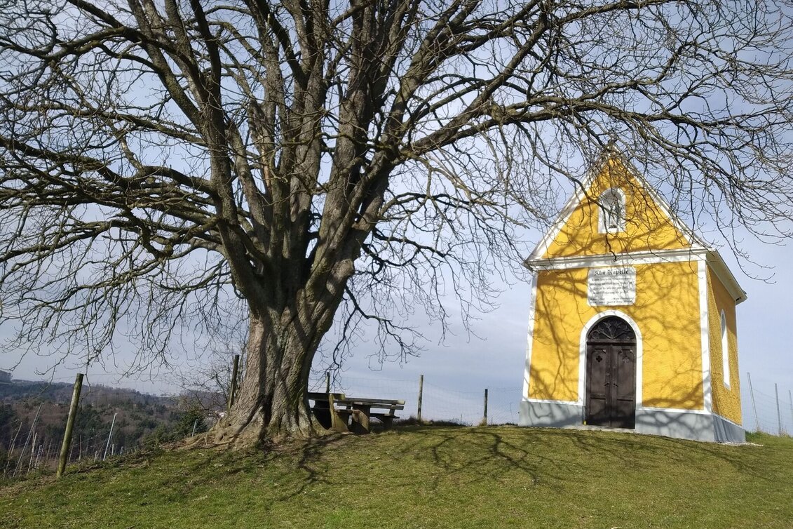 Hiking route AUERSBACH Himmel-Erden-Weg: Wandern für Alt und Jung in Feldbach - Touren-Impression #1 | © Miteinander aktiv Feldbach