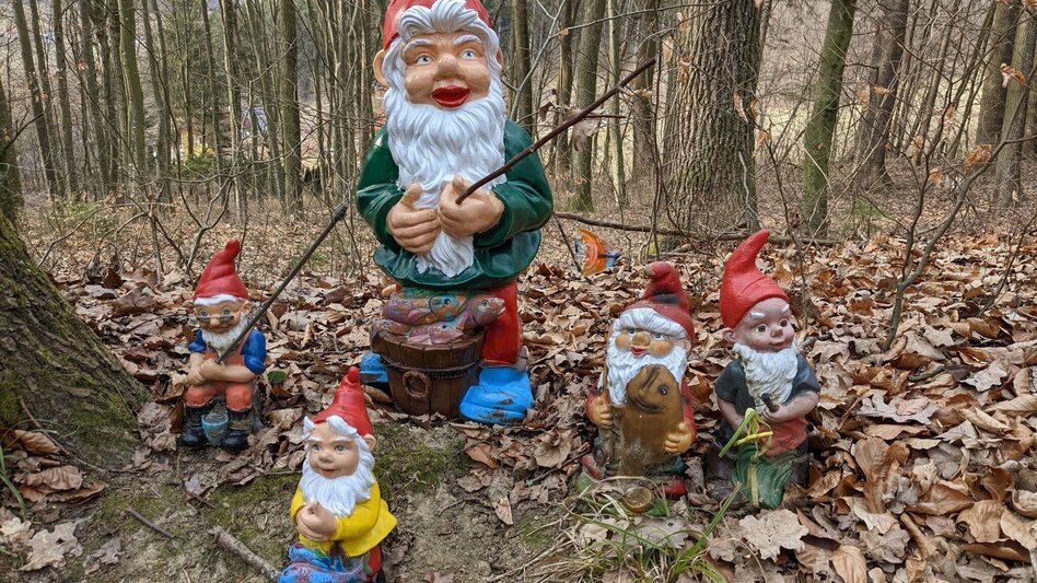 Wanderung GNIEBING Biotop-Schlosstour: Wandern für Alt & Jung in Feldbach - Touren-Impression #2.1 | © Miteinander aktiv Feldbach