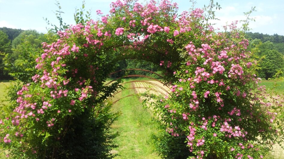 Wanderung GNIEBING Biotop-Schlosstour: Wandern für Alt & Jung in Feldbach - Touren-Impression #2.2 | © Miteinander aktiv Feldbach