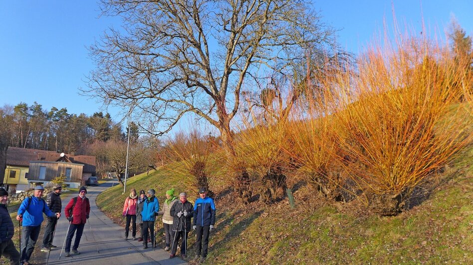 Hiking route WEIßENBACH Kalvarienberg-Alm: Hiking for young and old in Feldbach (WEISSENBACH Kalvarienberg-Alm) - Touren-Impression #2.3 | © Thermen- & Vulkanland