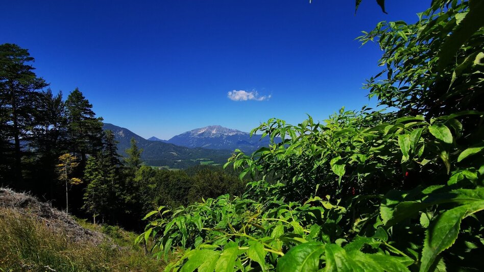 miscellaneousCyclingTour Gravelbike - Sonneck-Round - Touren-Impression #2.4 | © TV Hochsteiermark