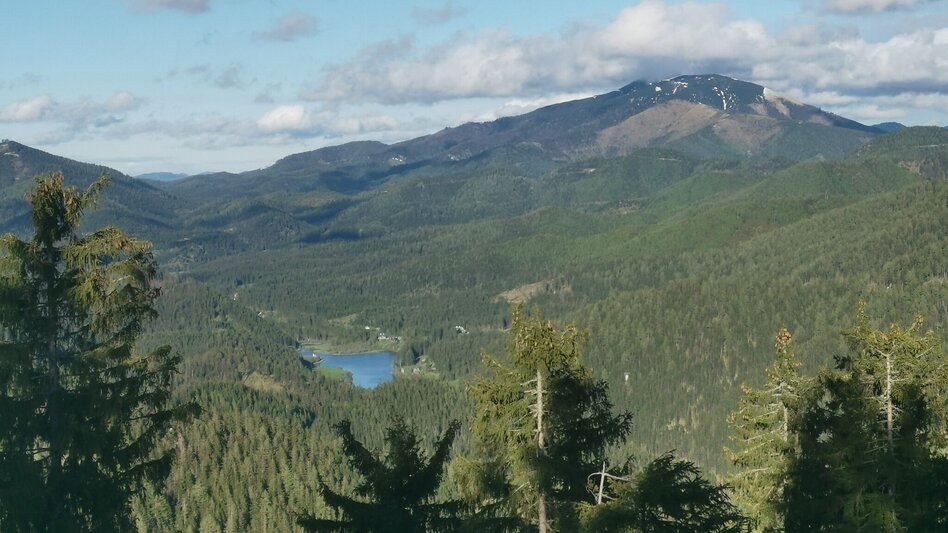 miscellaneousCyclingTour Gravelbike - Sonneck-Round - Touren-Impression #2.5 | © TV Hochsteiermark