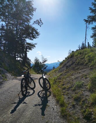 Schindelsattel | Brigitte Digruber | © TV Hochsteiermark