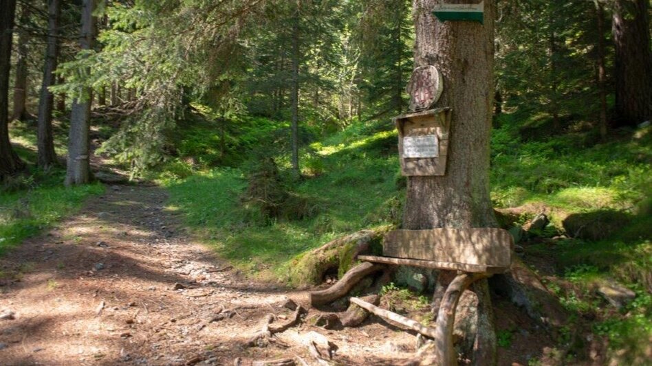 Pilgerweg Pilgerweg der Weltreligionen - Rottenmann - Touren-Impression #2.4 | © TV Gesäuse