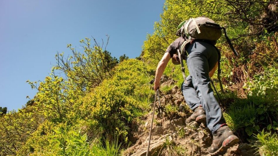 Bergtour Stein am Mandl - Touren-Impression #2.6 | © TV Gesäuse