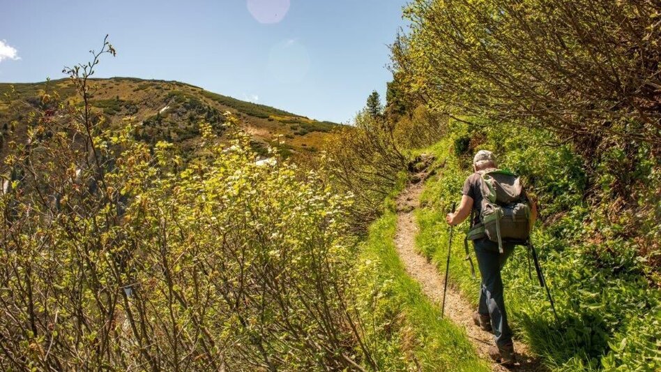Bergtour Stein am Mandl - Touren-Impression #2.7 | © TV Gesäuse
