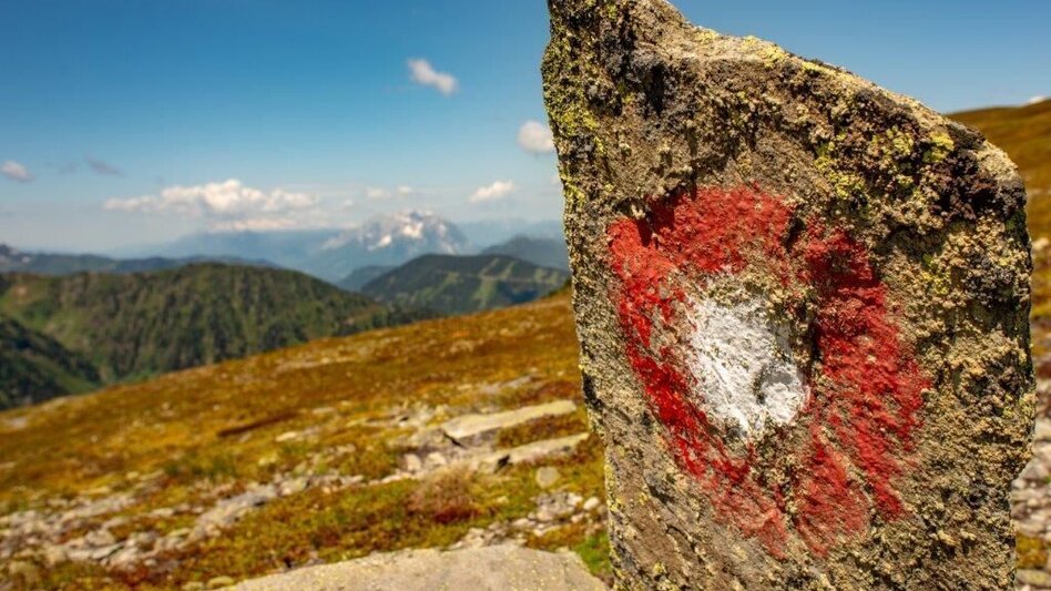 Bergtour Stein am Mandl - Touren-Impression #2.10 | © TV Gesäuse