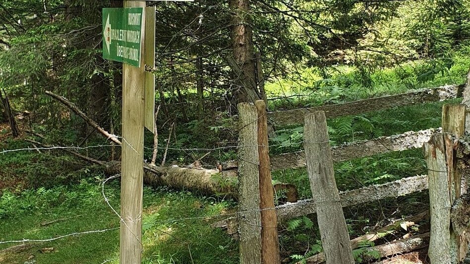Wanderung Vom Hoiswirt auf den Reinischkogel - Touren-Impression #2.1 | © Region Graz