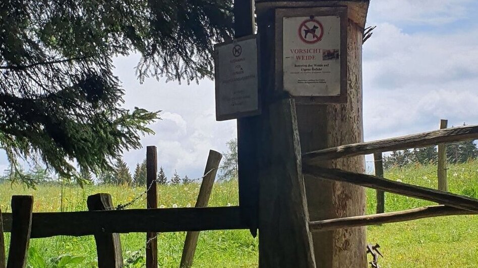 Wanderung Vom Hoiswirt auf den Reinischkogel - Touren-Impression #2.3 | © Region Graz