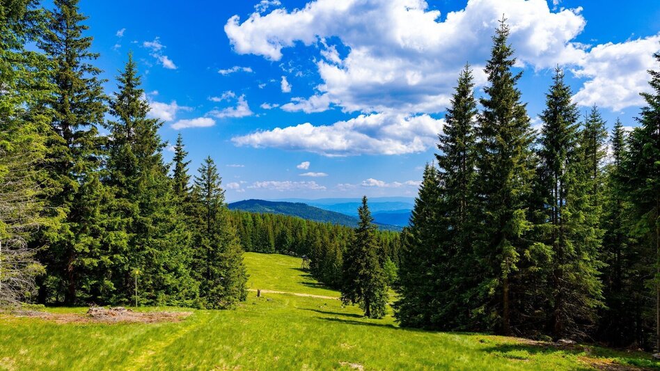 Wanderung Vom Hoiswirt auf den Reinischkogel - Touren-Impression #2.4 | © Region Graz