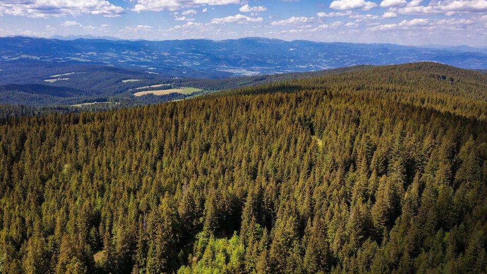 Wanderung Vom Hoiswirt auf den Reinischkogel - Touren-Impression #2.7 | © Region Graz