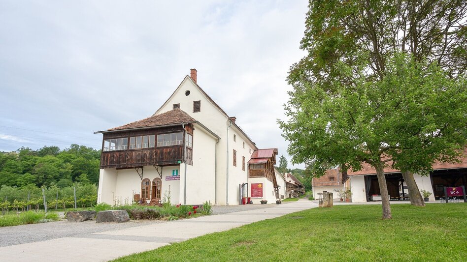 Bike Riding Genussradeln - Sausaler Tour - Variante 3 Flamberg - Touren-Impression #2.4 | © TVB Südsteiermark/Besucherzentrum Grottenhof