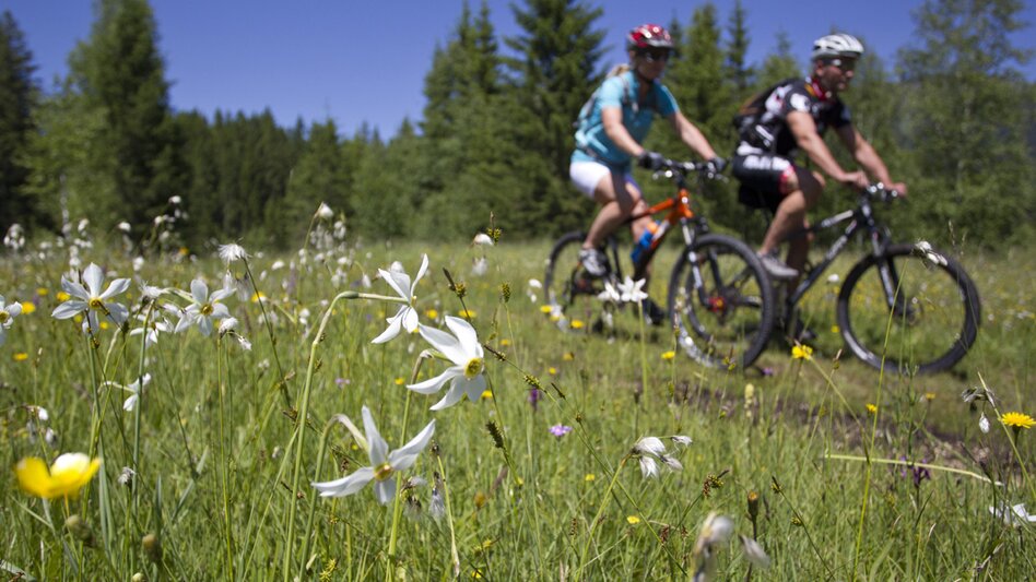 Mountain Biking S246 Familientour Bad Aussee - Ödensee - Touren-Impression #2.1 | © Himsl