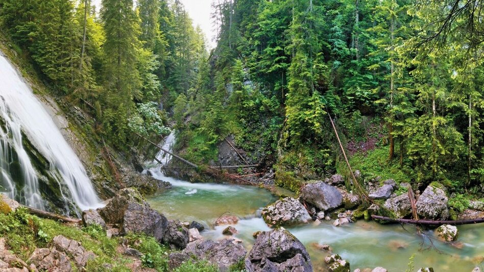Wanderung Rundweg Tauplitz - Touren-Impression #2.1 | © Unbekannt