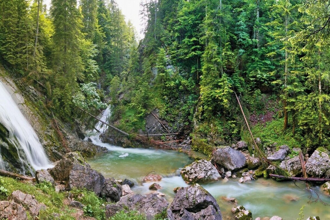 Wanderung Rundweg Tauplitz - Touren-Impression #1 | © Unbekannt