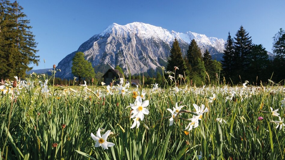 Wanderung Rundweg Tauplitz - Touren-Impression #2.4 | © Unbekannt