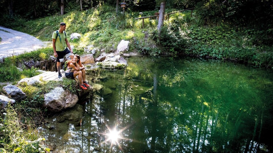 Wanderung Rundweg Tauplitz - Touren-Impression #2.8 | © TVB Ausseerland Salzkammergut