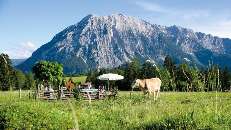 Wanderung Rundweg Tauplitz - Touren-Impression #2.9 | © Ausseerland