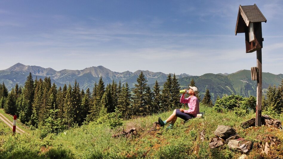 Hiking route Styrian Iron Trail - 4. Etappe  Abstiegsvariante Radmer an der Stube - Touren-Impression #2.4 | © Weges OG