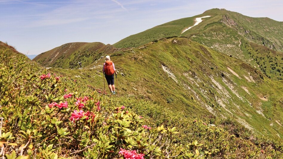 Hiking route Styrian Iron Trail - 4. Etappe  Abstiegsvariante Radmer an der Stube - Touren-Impression #2.9 | © Weges OG