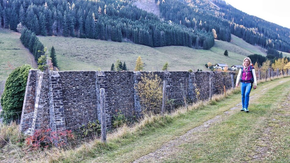 Hiking route Styrian Iron Trail - 6. Etappe und 7.Etappe Umgehung während der Jagdsperre - Touren-Impression #2.4 | © Weges OG