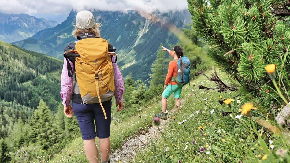 Hiking route Styrian Iron Trail - 6. Etappe und 7.Etappe Umgehung während der Jagdsperre - Touren-Impression #2.6 | © Weges OG
