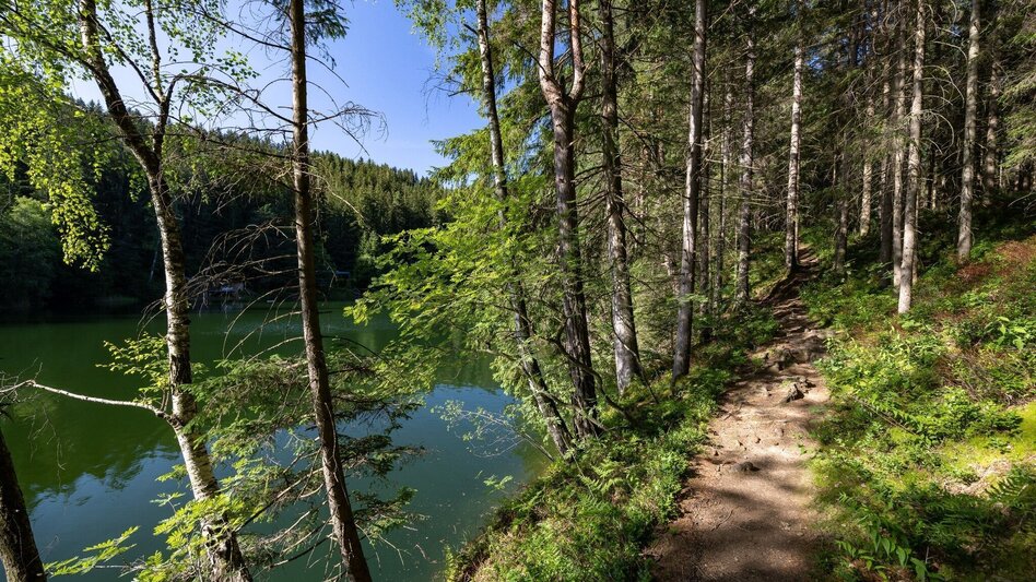 Wanderung Wandern beim Hirzmann Stausee - Touren-Impression #2.1 | © Region Graz