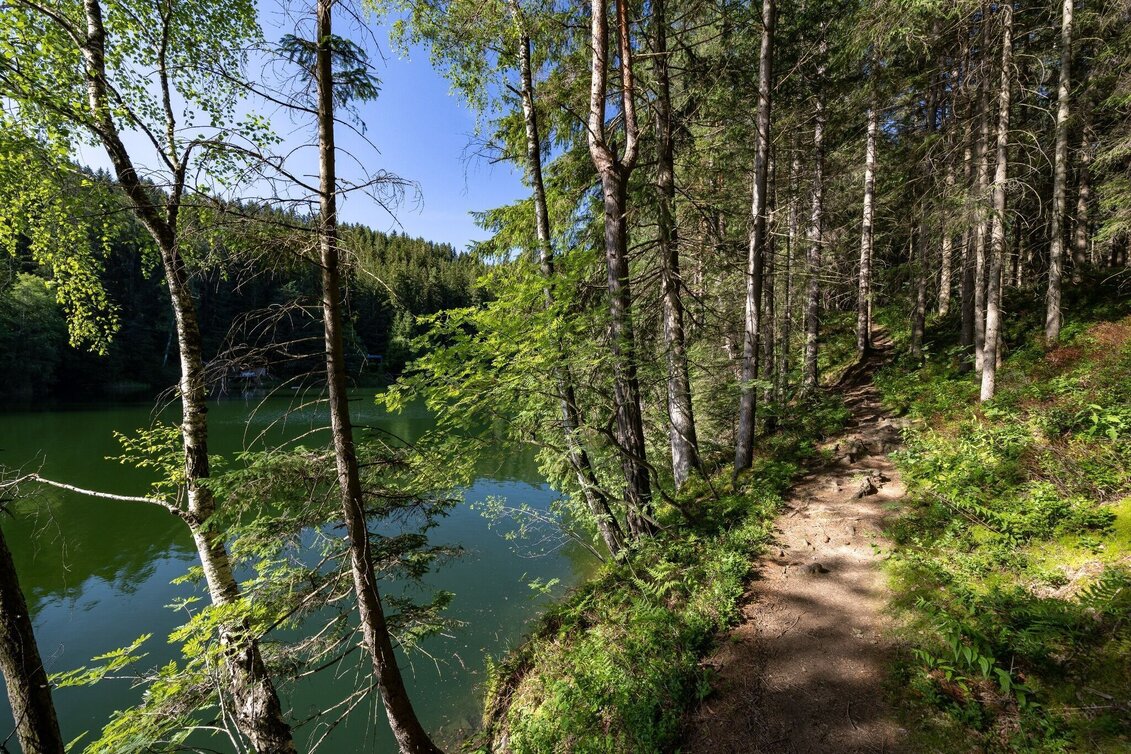 Wanderung Wandern beim Hirzmann Stausee - Touren-Impression #1 | © Region Graz