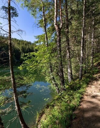 Rund um den Hirzmannstausee | Harry Schiffer | © Region Graz