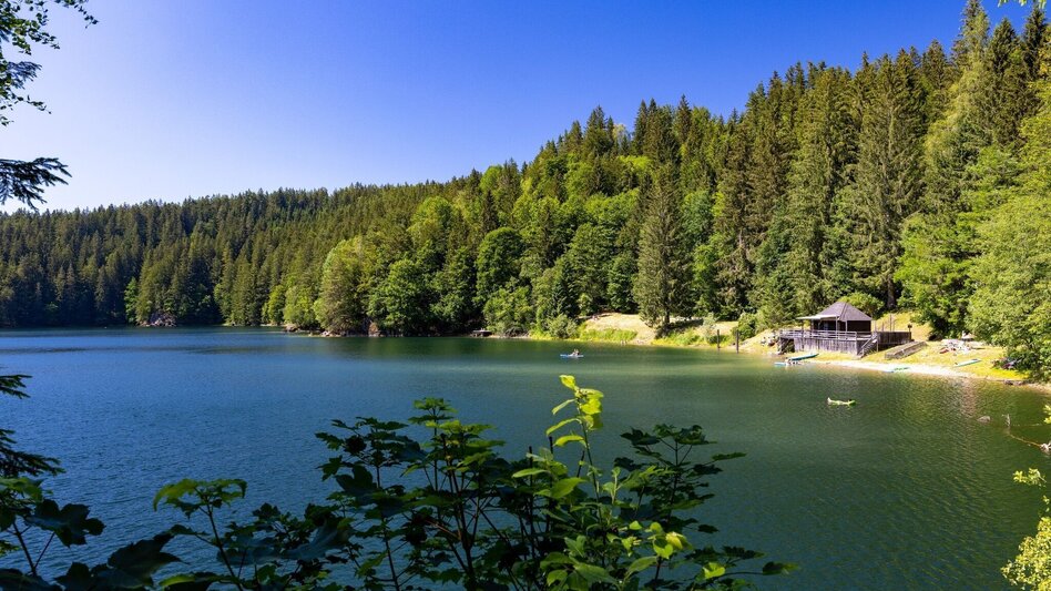 Wanderung Wandern beim Hirzmann Stausee - Touren-Impression #2.5 | © Region Graz