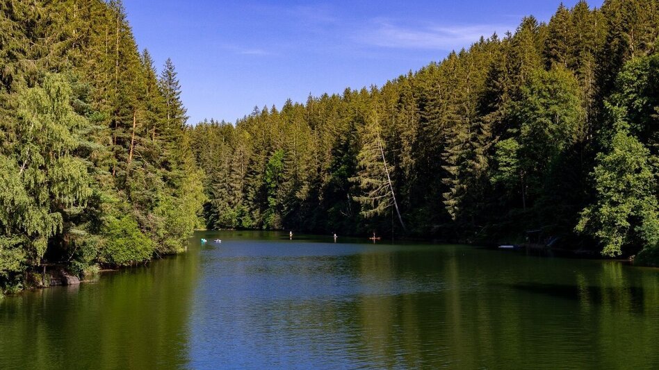 Wanderung Wandern beim Hirzmann Stausee - Touren-Impression #2.8 | © Region Graz