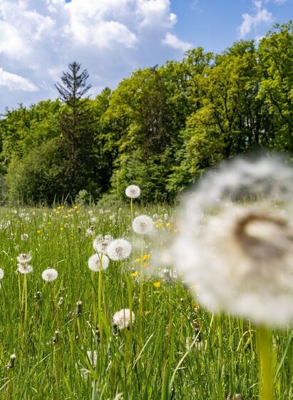 Andritzer Rundweg | © Graz Tourismus | Harry Schiffer | © Graz Tourismus