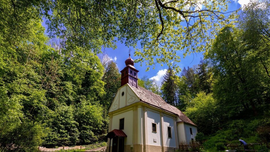 Hiking route Andritz circular route - Touren-Impression #2.3 | © Graz Tourismus