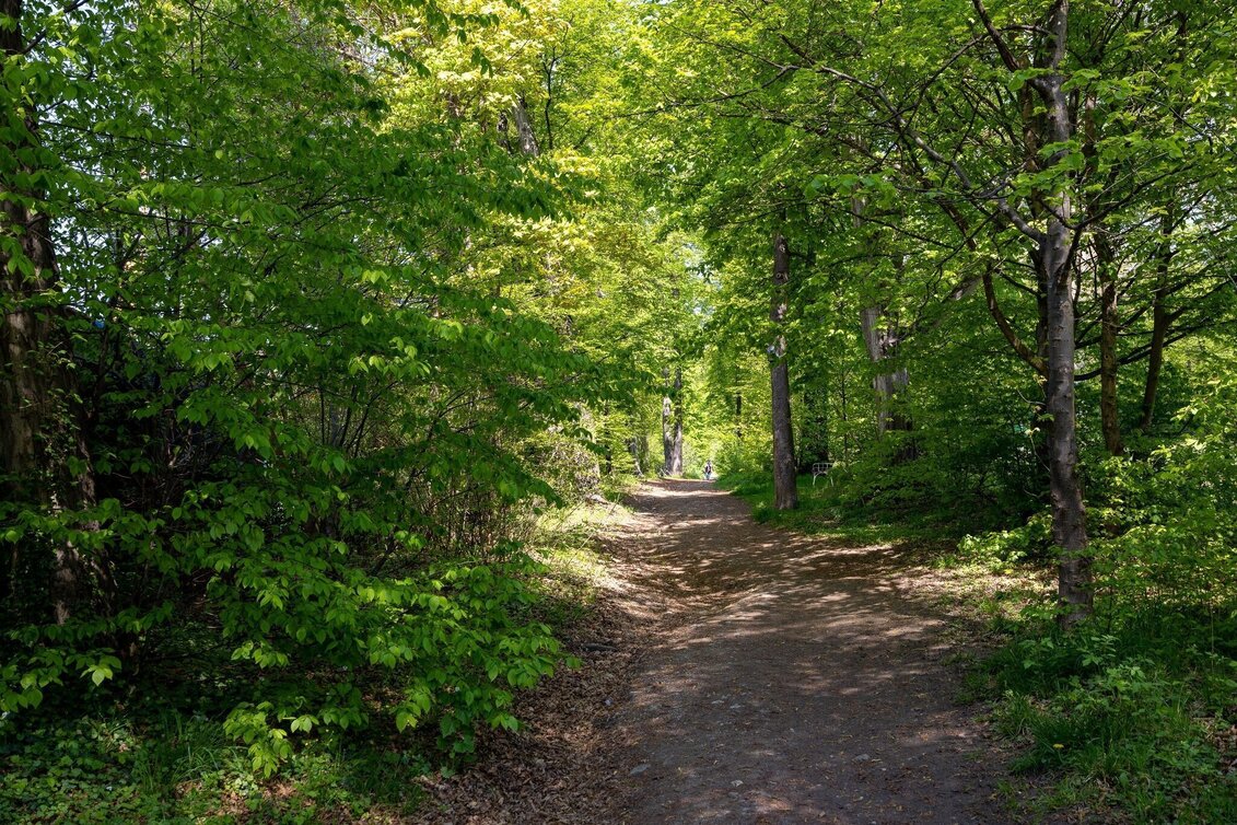 Wanderung Flanieren zwischen Rosenhain und Mariagrün - Touren-Impression #1 | © Region Graz