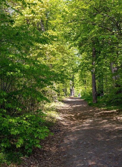 Rosenhain - Mariagrün (c) Graz Tourismus - Harry Schiffer | © Region Graz | Meike Brucher | © Region Graz