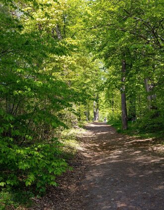 Rosenhain - Mariagrün (c) Graz Tourismus - Harry Schiffer | Meike Brucher | © Region Graz