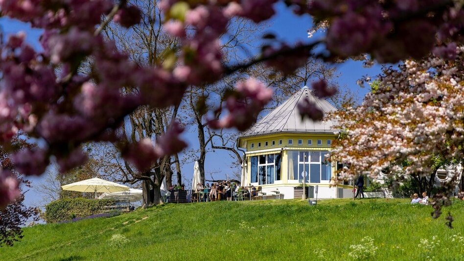 Wanderung Flanieren zwischen Rosenhain und Mariagrün - Touren-Impression #2.3 | © Region Graz