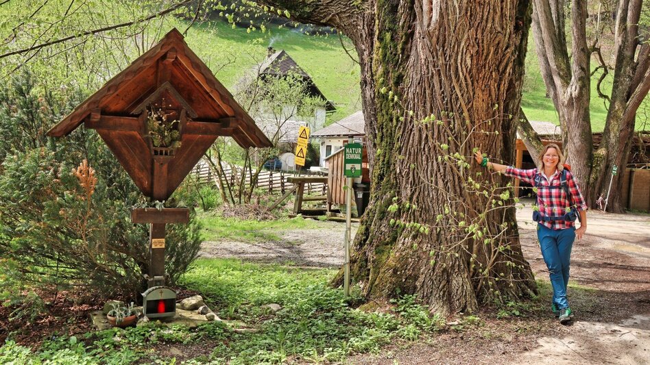 Wanderung Styrian Iron Trail - Gesamttour 10 Etappen - Touren-Impression #2.10 | © Weges OG