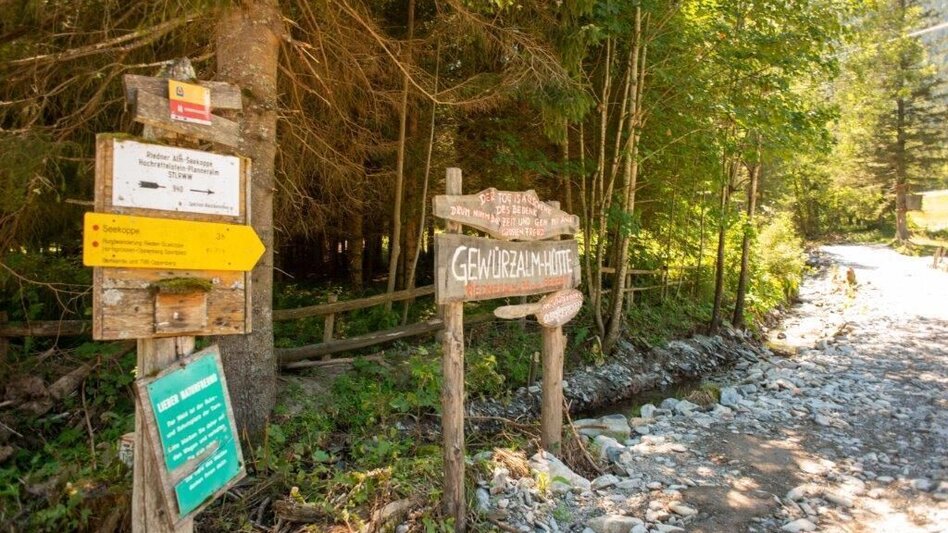 Hiking route Hiking to Gewürzalm Oppenberg - Touren-Impression #2.1 | © TV Gesäuse